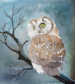 Watercolor owl with light brown feathers