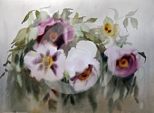 Watercolor paining of the beautiful pionies flowers.