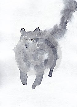 Watercolor paint fluffy cat in grey color