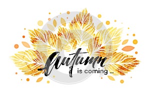 Watercolor painted autumn leaves banner. Fall background design. Vector illustration