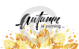 Watercolor painted autumn leaves banner. Fall background design. Vector illustration