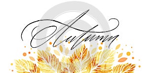 Watercolor painted autumn leaves banner. Fall background design. Vector illustration