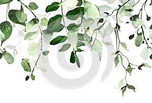 Watercolor painted greenery seamless frame on white background. Green wild plants, branches, leaves and twigs.