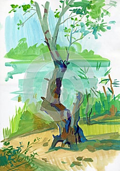 Watercolor painted landscape with poplar tree