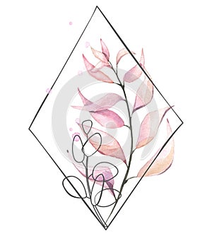Watercolor painted pink leaves, eucalyptus and rhombus frame in line art style. Floral arrangement on white background