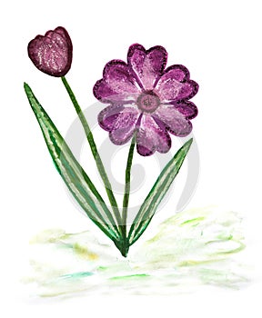 Watercolor paintig of simple blossoming flower