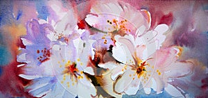 Watercolor painting of beautiful flowers