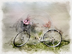 Watercolor painting Beautiful white bicycle with pink tulip on green grass field. illustration
