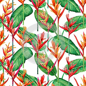 Watercolor painting bird of paradise blooming flowers,colorful seamless pattern on white background.Watercolor green leaves illust