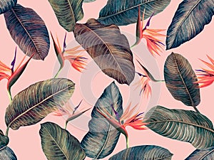 Watercolor painting bird of paradise with colorful leaves seamless pattern background.Watercolor hand drawn illustration tropical