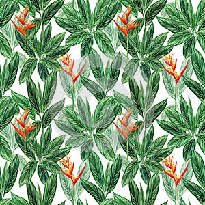 Watercolor painting bird of paradise with green leaves seamless pattern background.Watercolor hand drawn illustration tropical exo