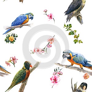 Watercolor painting with birds and flowers, seamless pattern on white background.