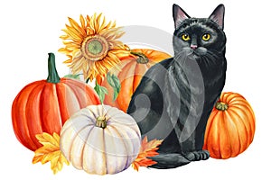 Watercolor painting black cat, autumn leaves and pumpkin, animal art, drawing illustration, cute kitten card halloween