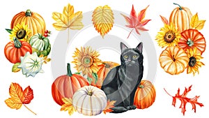 Watercolor painting black cat, autumn leaves and pumpkin, animal art, drawing illustration, cute kitten card halloween