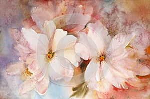 Watercolor painting of blooming spring flowers