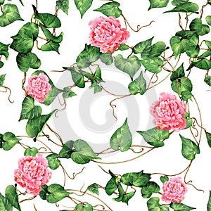 Watercolor painting botanical green leaves ivy with pink flowers seamless pattern on white background.Watercolor illustration trop