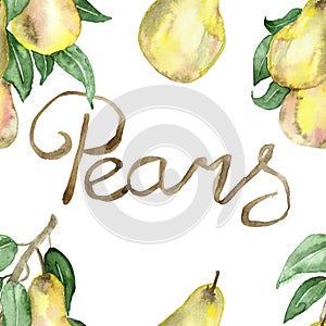 Watercolor painting is a botanical illustration of a pear tree branch with fruits and leaves with hand letters .