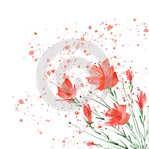 Watercolor painting. A bouquet of flowers of red poppies, wildflowers on a white isolated background. Hand drawn watercolor floral