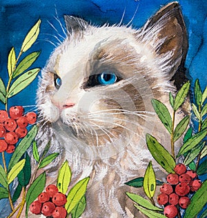 Watercolor Painting - Cat