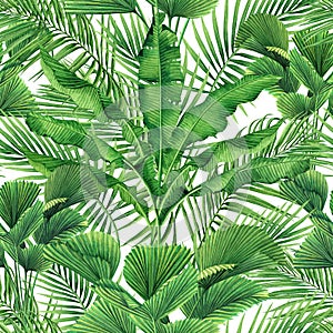 Watercolor painting coconut,banana,palm leaf,green leaves seamless pattern background.Watercolor hand drawn illustration tropical