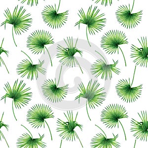 Watercolor painting coconut,palm leaf,green leave seamless pattern background.Watercolor hand drawn illustration tropical exotic l