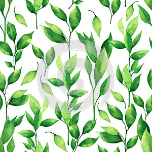 Watercolor painting coconut,palm leaf,green leave seamless pattern background.Watercolor hand drawn illustration tropical exotic l