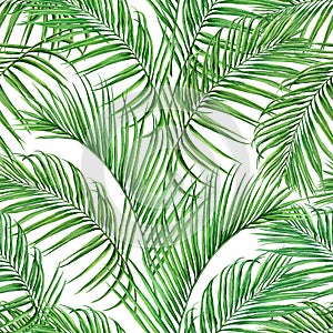 Watercolor painting coconut,palm leaf,green leave seamless pattern isolated on white background.Watercolor hand drawn illustration