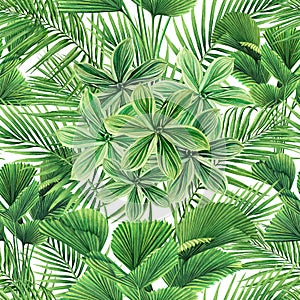 Watercolor painting coconut,palm leaf,green leaves seamless pattern background.Watercolor hand drawn illustration tropical exotic