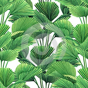 Watercolor painting coconut,palm leaf,green leaves seamless pattern background.Watercolor hand drawn illustration tropical exotic