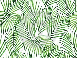 Watercolor painting coconut,palm leaves seamless pattern on white background.Watercolor hand drawn illustration tropical exotic le