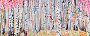 Watercolor painting colorful autumn trees of forest, aspen