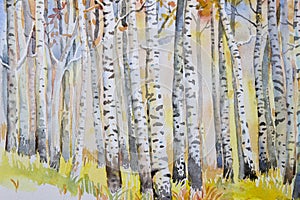 Watercolor painting colorful autumn trees of forest aspen