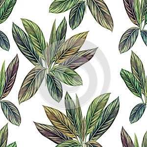 Watercolor painting colorful with green leaves seamless pattern background. Watercolor hand drawn illustration tropical exotic lea