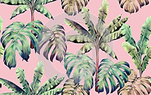 Watercolor painting colorful tree banana,monstera leaves seamless pattern background.Watercolor hand drawn illustration tropical e