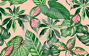 Watercolor painting colorful tropical leaf,green leave seamless pattern background.Watercolor hand drawn illustration tropical exo
