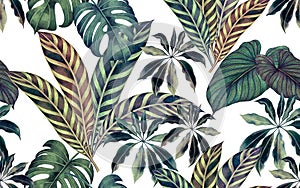 Watercolor painting colorful tropical leaf,green leave seamless pattern background.Watercolor hand drawn illustration tropical exo