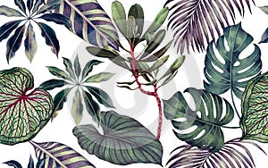 Watercolor painting colorful tropical leaf,green leave seamless pattern background.Watercolor hand drawn illustration tropical exo