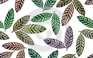 Watercolor painting colorful tropical leaf,green leave seamless pattern background.Watercolor hand drawn illustration tropical exo