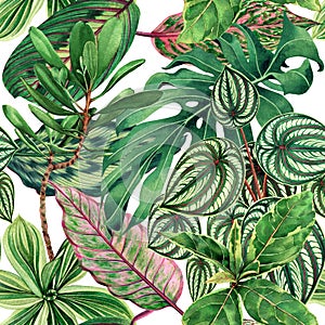 Watercolor painting colorful tropical palm leaf,green leave seamless pattern background.Watercolor hand drawn illustration tropica