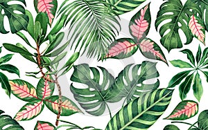 Watercolor painting colorful tropical palm leaf,green leave seamless pattern background.Watercolor hand drawn illustration tropica