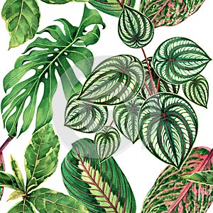 Watercolor painting colorful tropical palm leaf,green leaves seamless pattern background.Watercolor hand drawn illustration tropic