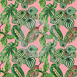 Watercolor painting colorful tropical palm leaf,green leaves seamless pattern background.Watercolor hand drawn illustration tropic