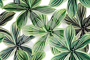 Watercolor painting colorful tropical palm leaf,green leaves seamless pattern background.Watercolor hand drawn illustration tropic