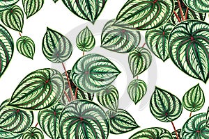 Watercolor painting colorful tropical palm leaf,green leaves seamless pattern background.Watercolor hand drawn illustration tropic