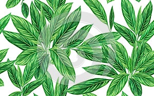 Watercolor painting colorful tropical palm leaf,green leaves seamless pattern background.Watercolor hand drawn illustration tropic