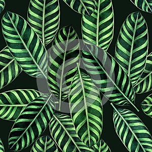 Watercolor painting colorful tropical palm leaf,green leaves seamless pattern background.Watercolor hand drawn illustration tropic