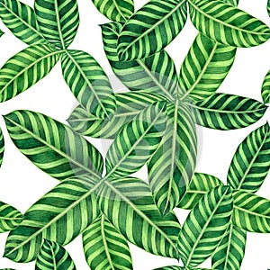 Watercolor painting colorful tropical palm leaf,green leaves seamless pattern background.Watercolor hand drawn illustration tropic