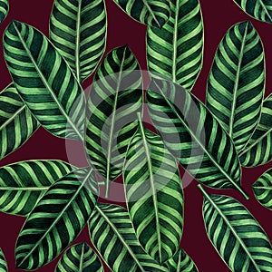 Watercolor painting colorful tropical palm leaf,green leaves seamless pattern background.Watercolor hand drawn illustration tropic