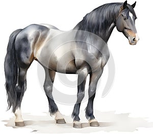 Watercolor painting of a cute Friesian Horse. AI-Generated.