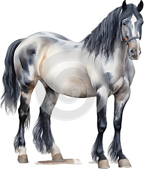 Watercolor painting of a cute Friesian Horse. AI-Generated.